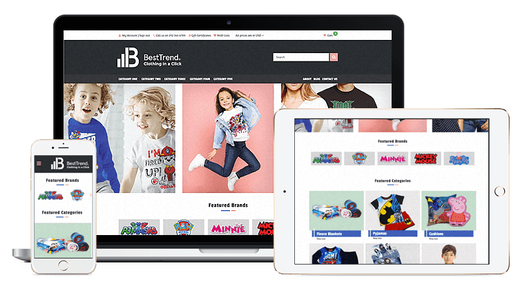 How To Make an Ecommerce Website Using WordPress?